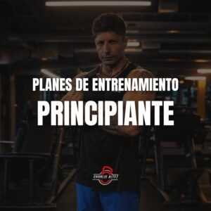 Planes para Principiante