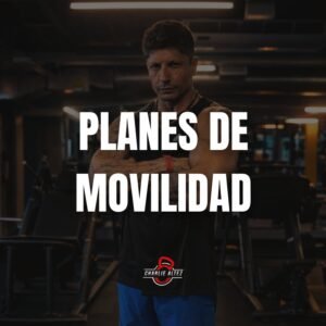 Planes de Movilidad