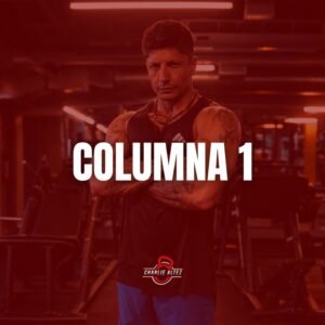 Movilidad Columna 1