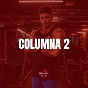 Movilidad Columna 2