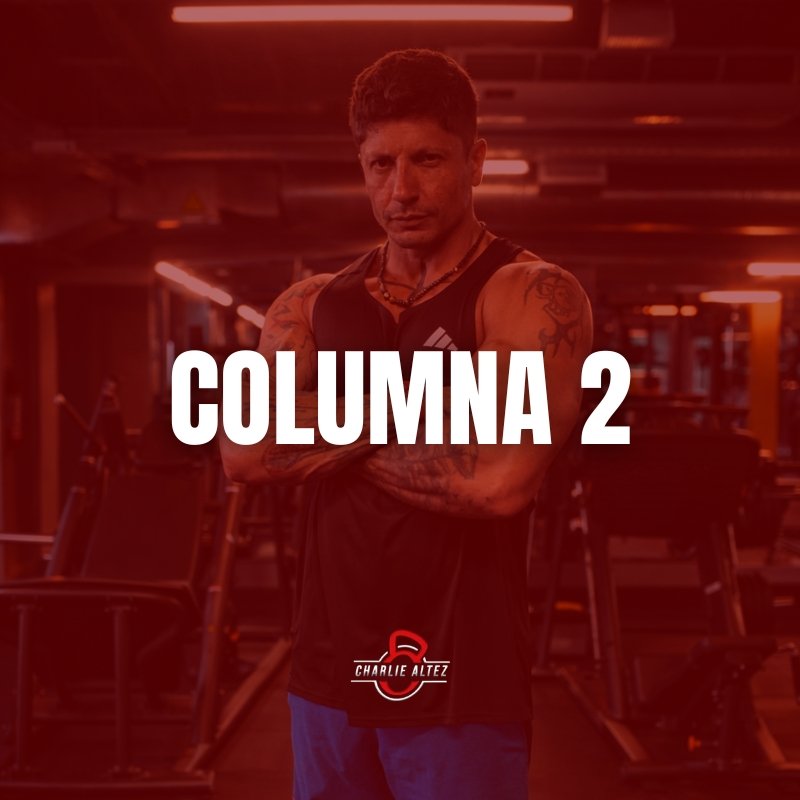 Movilidad Columna 2