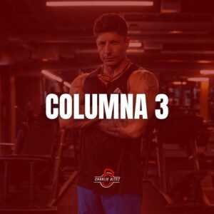 Movilidad Columna 3