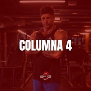 Movilidad Columna 4