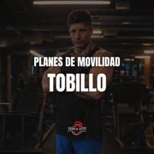 Movilidad Tobillo