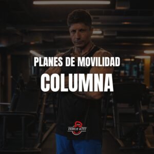 Movilidad Columna